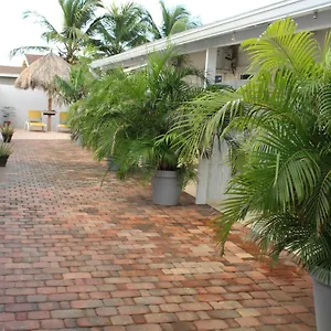 Aparthotel Dancing Iguanas